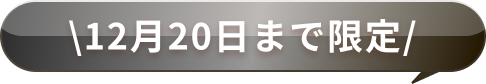 12月20日まで限定